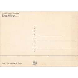 Bremgarten – Alstradtpartie an der Reuss (Suisse) | Carte postale ancienne