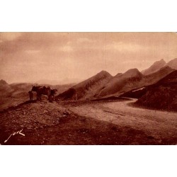 Carte postale ancienne du col d'Aubisque montrant la Route Thermale et la descente vers Argelès avec des bovins.