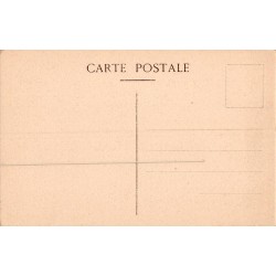 Carte postale ancienne Aigues-Mortes – Vue générale historique