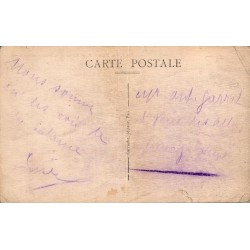Carte Postale Ancienne Pau Place Royale Chaîne des Pyrénées Carrère