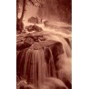 Carte postale ancienne de la Cascade du Pas-de-l’Ours à Cauterets dans les Hautes-Pyrénées.