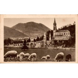 Carte postale ancienne Lourdes Basilique et Pic du Jer avec troupeau de moutons au premier plan