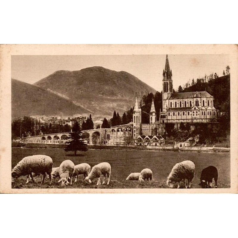 Carte postale ancienne Lourdes Basilique et Pic du Jer avec troupeau de moutons au premier plan