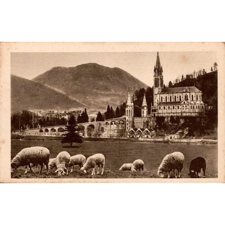 Carte postale ancienne Lourdes Basilique et Pic du Jer avec troupeau de moutons au premier plan