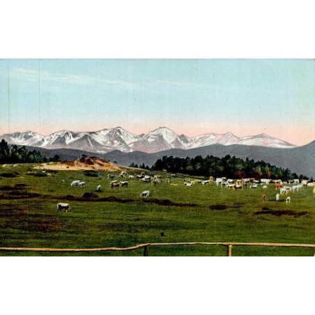 Carte postale ancienne des Pyrénées montrant les pâturages de haute montagne avec troupeaux et sommets enneigés