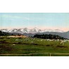 Carte postale ancienne des Pyrénées montrant les pâturages de haute montagne avec troupeaux et sommets enneigés