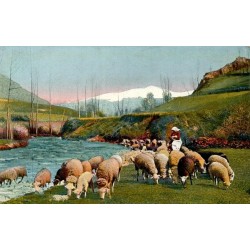 Carte postale ancienne des Pyrénées montrant un troupeau de moutons au pâturage avec bergère et montagnes.