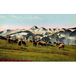 Carte postale ancienne des Pyrénées montrant un troupeau de moutons dans les pâturages face aux montagnes enneigées.