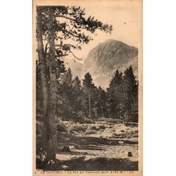 Carte postale ancienne du Pic du Canigou vue à travers une forêt de pins dans les Pyrénées-Orientales.