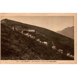 Carte postale ancienne du col de Riou à Cauterets avec troupeau de bovins et hôtellerie de montagne.