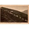 Carte postale ancienne du col de Riou à Cauterets avec troupeau de bovins et hôtellerie de montagne.