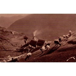 Carte postale ancienne Gavarnie avec bergerie fumante et troupeau de moutons en montagne.