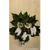 Carte postale ancienne américaine représentant un bouquet de fleurs de coton, expédiée de Savannah en Géorgie en 1915.