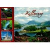 Carte postale moderne de Killarney en Irlande avec panorama des lacs, Muckross Gardens, Torc Waterfall et cathédrale.