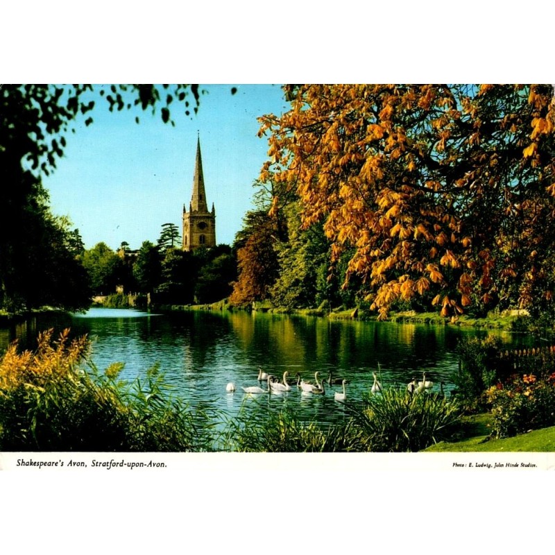 Carte postale moderne de Stratford-upon-Avon avec la rivière Avon, des cygnes et Holy Trinity Church.