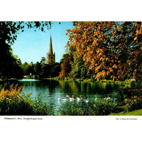 Carte postale moderne de Stratford-upon-Avon avec la rivière Avon, des cygnes et Holy Trinity Church.