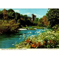 Carte postale moderne du Kilkenny Castle et de la rivière Nore en Irlande.