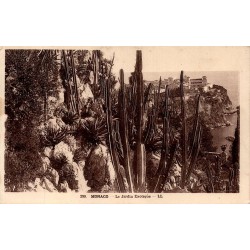Carte postale ancienne LL du Jardin Exotique de Monaco avec cactus et vue sur le Rocher.
