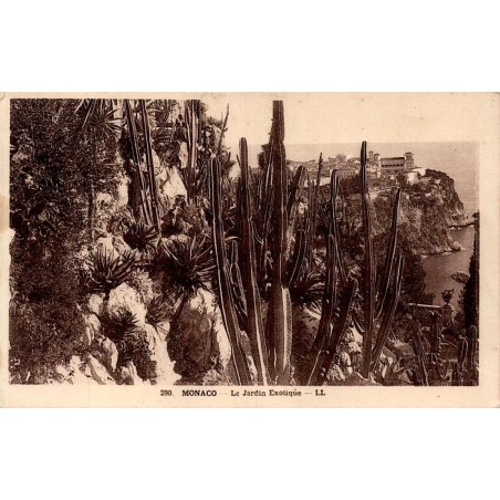 Carte postale ancienne LL du Jardin Exotique de Monaco avec cactus et vue sur le Rocher.
