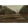 Carte postale ancienne des allées du Casino de Monte-Carlo avec jardins et façade du Casino.