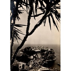 Carte postale moderne du Jardin Exotique de Monaco avec vue sur le Rocher et le Palais Princier.