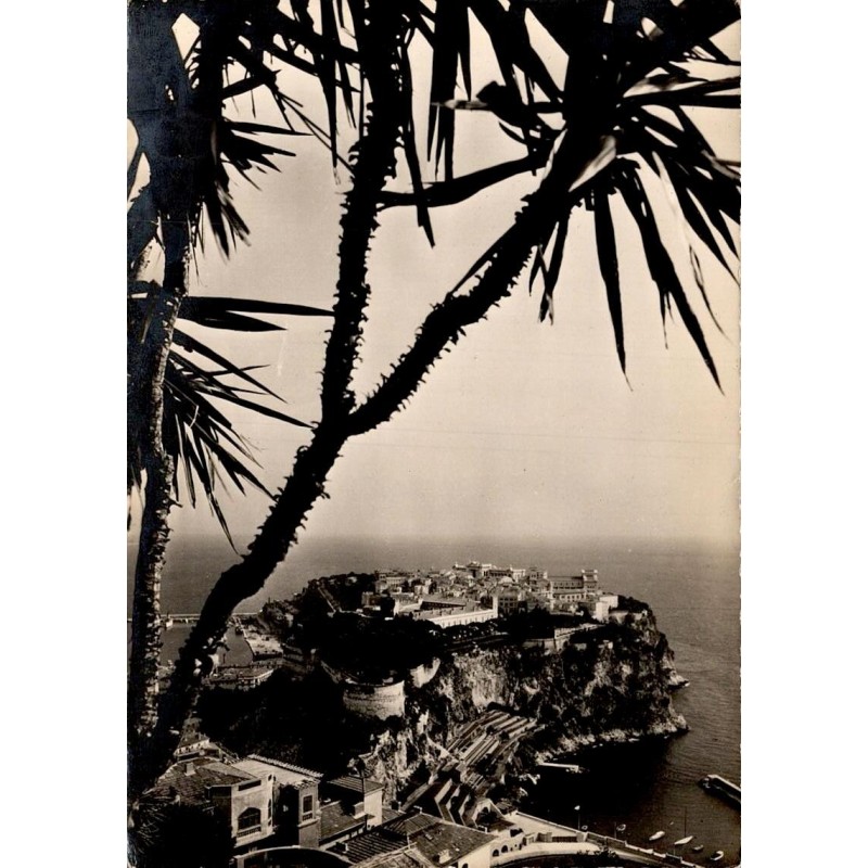 Carte postale moderne du Jardin Exotique de Monaco avec vue sur le Rocher et le Palais Princier.