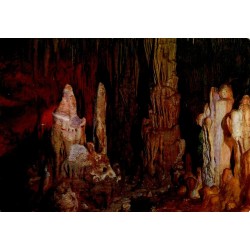 Carte postale moderne représentant les grottes du Jardin Exotique de Monaco avec leurs stalactites et stalagmites.
