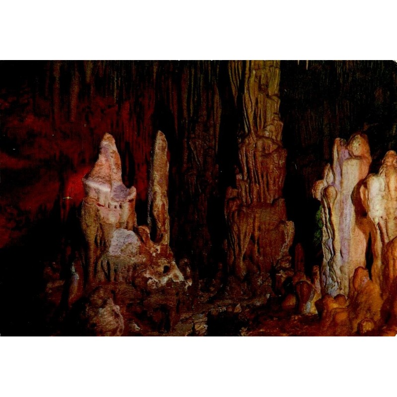 Carte postale moderne représentant les grottes du Jardin Exotique de Monaco avec leurs stalactites et stalagmites.