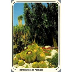 Carte postale moderne du Jardin Exotique de Monaco avec cactus géants et oblitération de Saint-Jean-Cap-Ferrat de 1989.