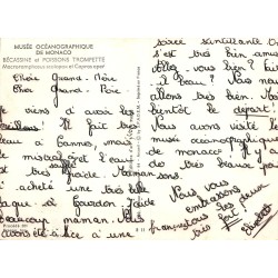 Carte postale Musée Océanographique Monaco Bécassines et Poissons Trompette Yvon