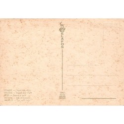 Carte Postale CPSM Rhodes Son et Lumière Palais des Grands Maîtres