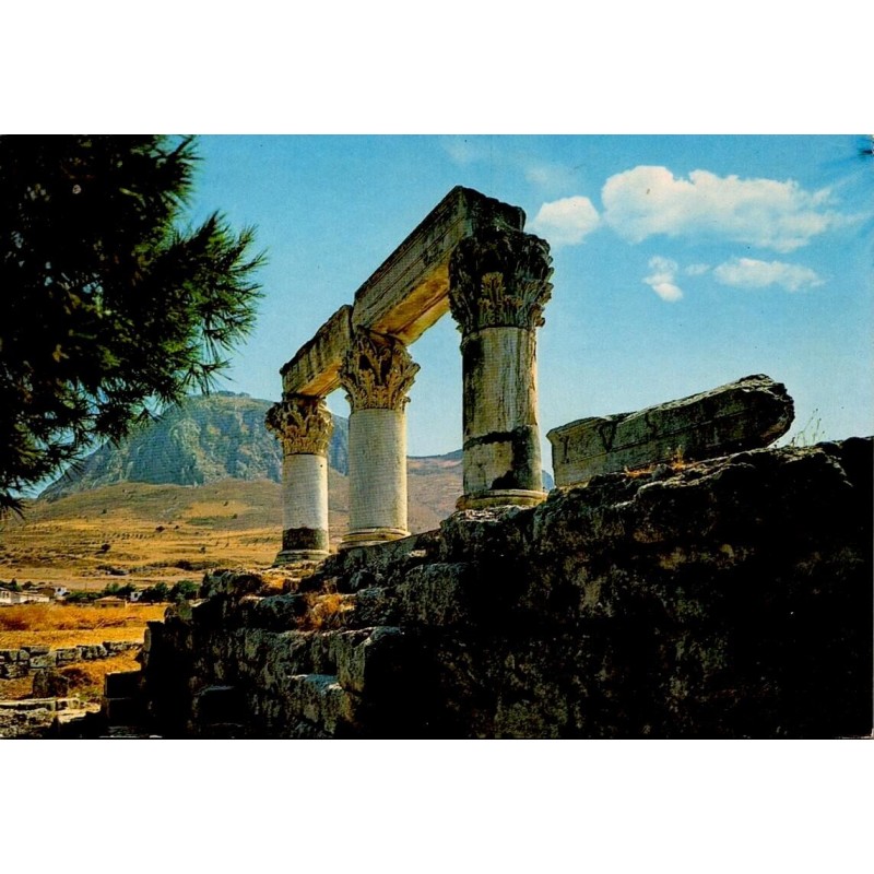 Carte postale ancienne représentant les colonnes du temple antique de Corinthe avec l'Acrocorinthe en arrière-plan.