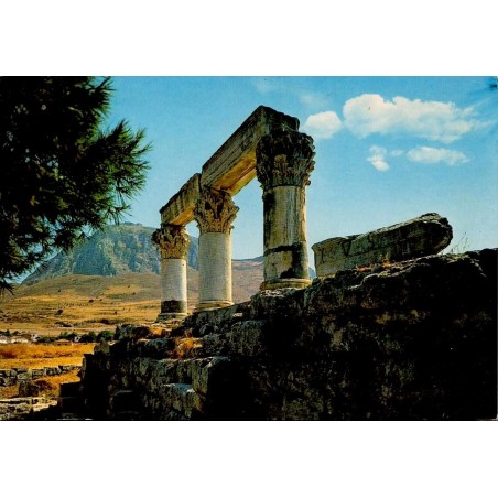 Carte postale ancienne représentant les colonnes du temple antique de Corinthe avec l'Acrocorinthe en arrière-plan.