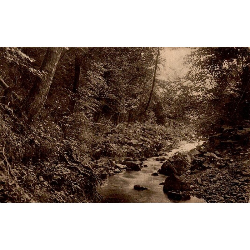 Carte Postale Ancienne représentant un torrent forestier dans un paysage de montagne en Autriche.