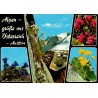 CPSM Alpes Autriche edelweiss fleurs alpines.