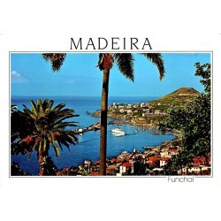 CPM Funchal vue du port île de Madère Portugal