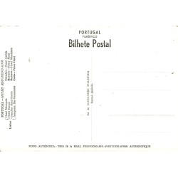 CPSM Buçaco Fonte Fria Portugal