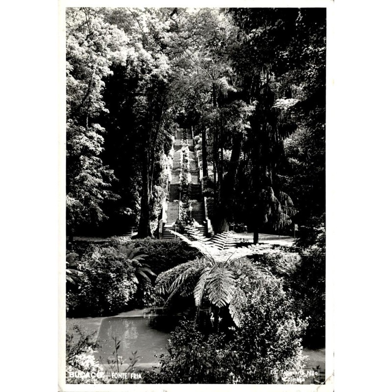 Carte postale CPSM de la Fonte Fria dans la forêt de Buçaco au Portugal