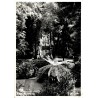 Carte postale CPSM de la Fonte Fria dans la forêt de Buçaco au Portugal