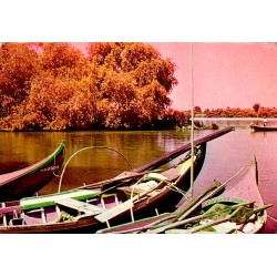 Carte postale CPM des barcos moliceiros sur la Ria de Aveiro au Portugal