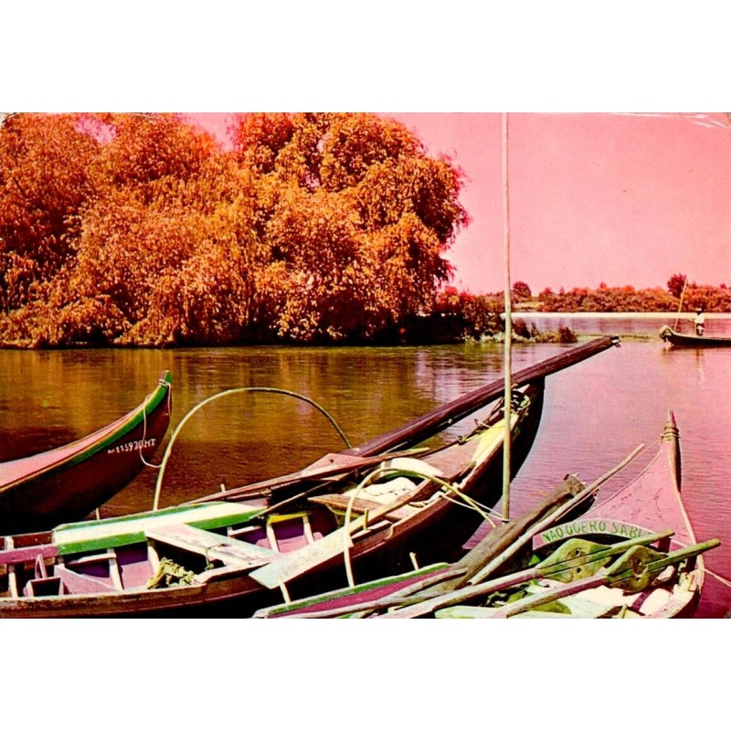 Carte postale CPM des barcos moliceiros sur la Ria de Aveiro au Portugal