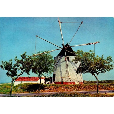 Carte postale CPSM Portugal moulin à vent traditionnel Moinho de Vento