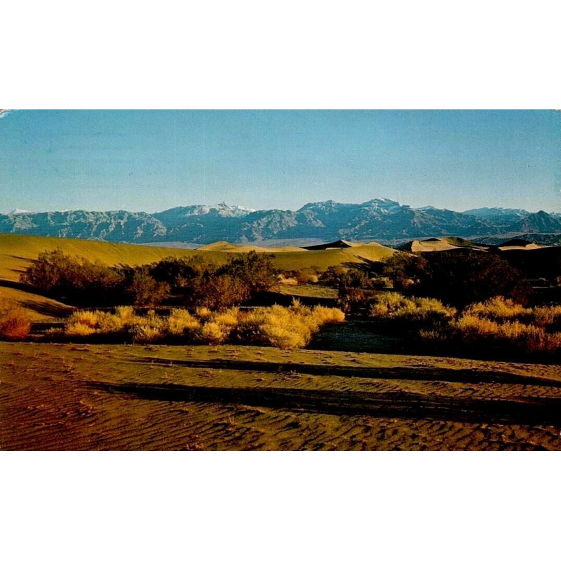 Dunes du Death Valley National Monument en Californie Carte Postale CPM circulée