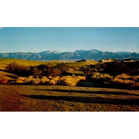 Dunes du Death Valley National Monument en Californie Carte Postale CPM circulée