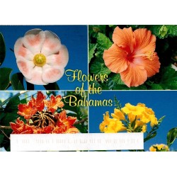 Carte postale Flowers of the Bahamas fleurs tropicales Nassau
