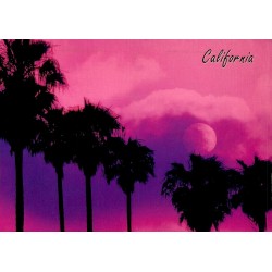 Carte postale Californie palmiers coucher de soleil lune California Scene