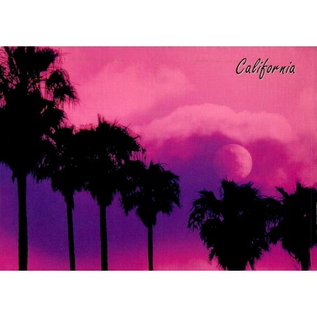 Carte postale Californie palmiers coucher de soleil lune California Scene