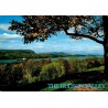 Carte postale Hudson Valley Hyde Park New York Vanderbilt Mansion États-Unis