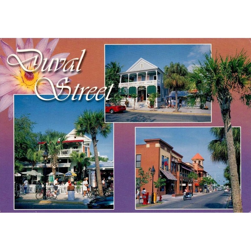 Carte postale Duval Street Key West Floride