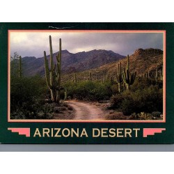 Carte postale Arizona Desert Saguaro Cacti désert de Sonora